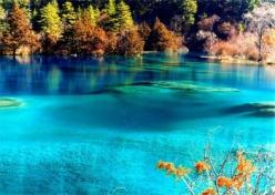 供應九寨溝自由行租車公司-九寨溝美麗的童話*