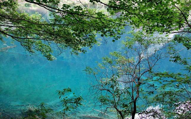 供應(yīng)九寨溝淘寶