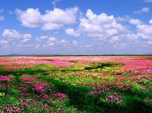 自駕游童話世界九寨溝圖片