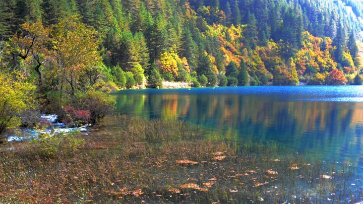 2011九寨溝自助游攻略圖片