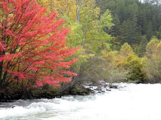供應米亞羅紅葉風景區(qū)