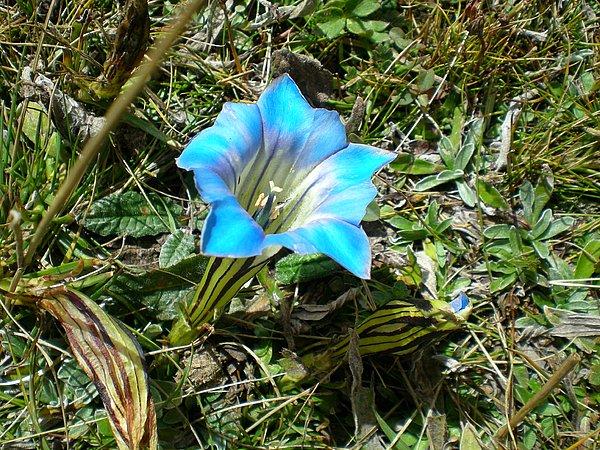 供應(yīng)九寨溝旅游包車花湖旅游攻略