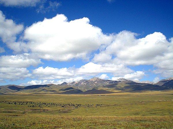 供應暑假到九寨溝包車旅行九寨溝黃龍