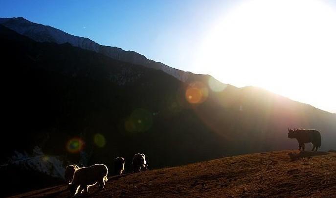供應四姑娘山獵人峰簡介