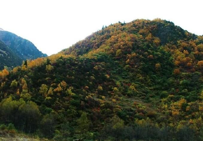 供應(yīng)四姑娘山風(fēng)景名勝區(qū)簡介