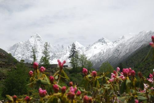 供應金秋扎如寺介紹租車旅游攻略