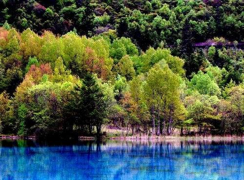 供應(yīng)九寨溝旅游租車公司-九寨溝門票