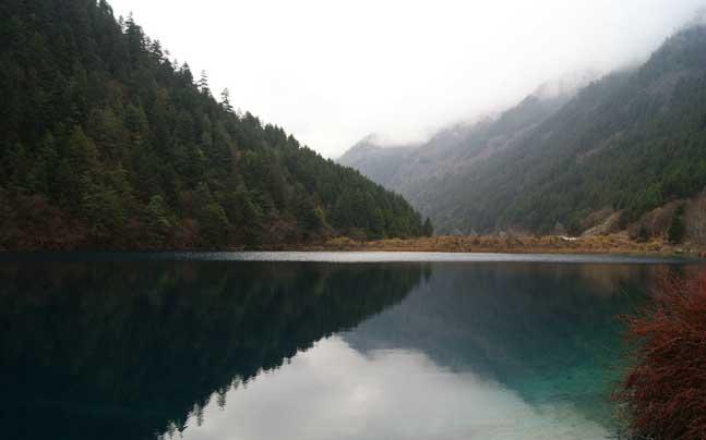 供應(yīng)九寨溝淘寶