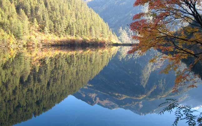 供應九寨溝租車自助游