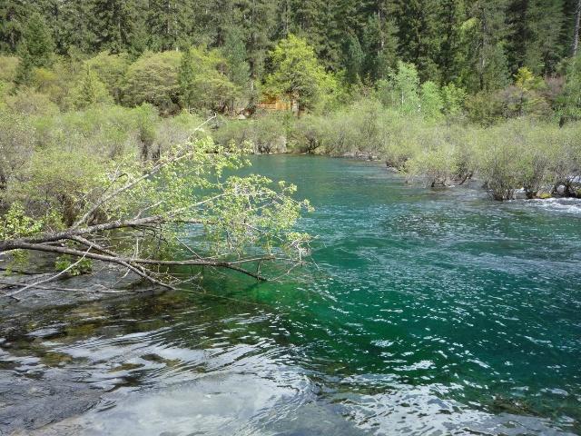 供應(yīng)夏天九寨溝包車旅游黃龍若爾蓋路線