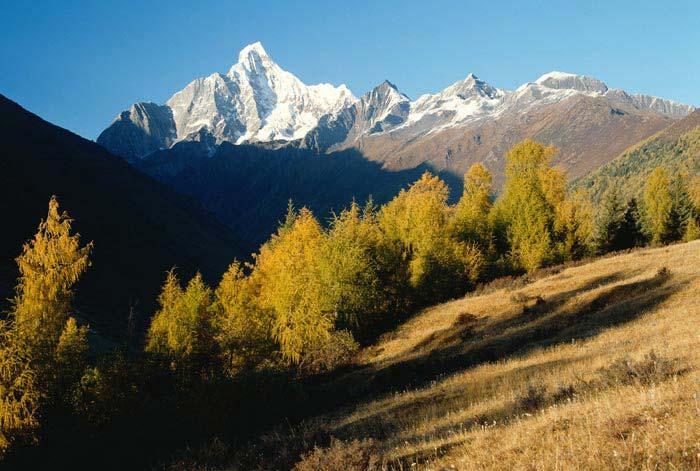 供應(yīng)四姑娘山景區(qū)交通