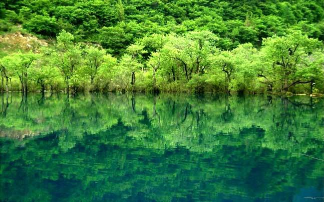 供應(yīng)九寨溝旅游自助游回憶