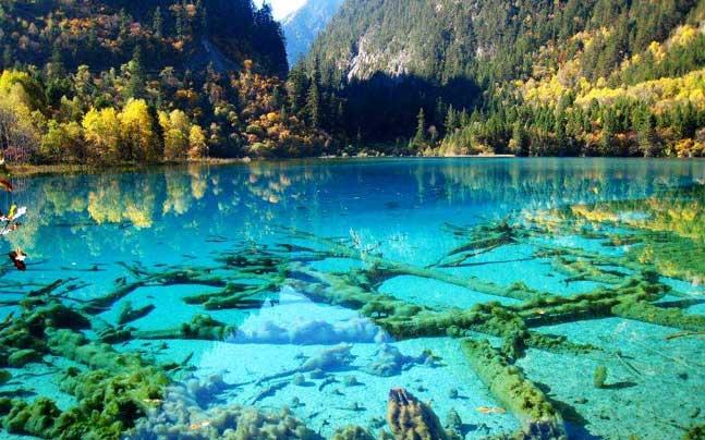 供應九寨溝租車自助游