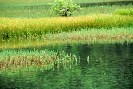 供應(yīng)九寨溝迎來端午小長(zhǎng)假旅游新高峰-九寨溝旅游租公司