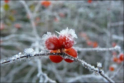 旅游路線圖片/旅游路線樣板圖 (4)