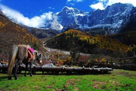 供應(yīng)金秋四姑娘山旅游攻略