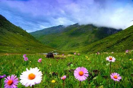 供應(yīng)金秋四姑娘山旅游攻略