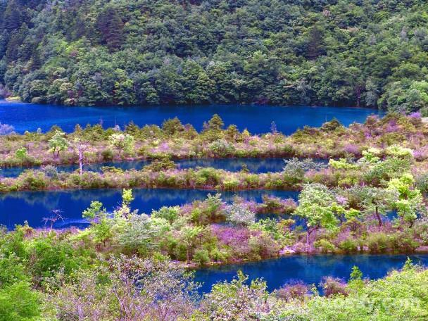 供應(yīng)九寨溝旅游租車公司-九寨溝門票