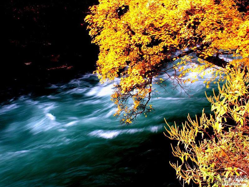 供應(yīng)九寨溝黃龍旅游攻略行程安排