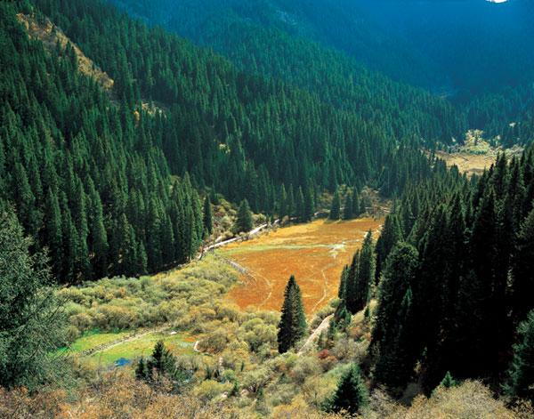 供應(yīng)北京到四川旅游線路導(dǎo)購