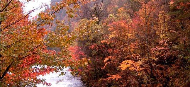 九寨溝旅游圖片/九寨溝旅游樣板圖 (3)