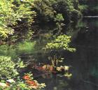 供應(yīng)九寨溝景區(qū)旅游注意事項