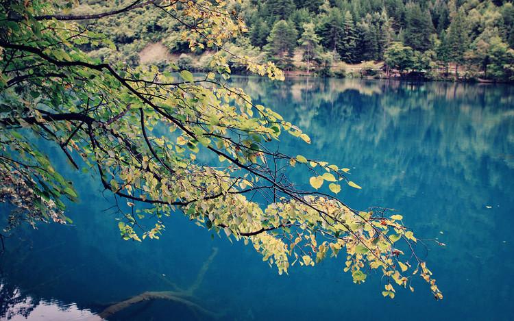 九寨溝圖片/九寨溝樣板圖 (2)