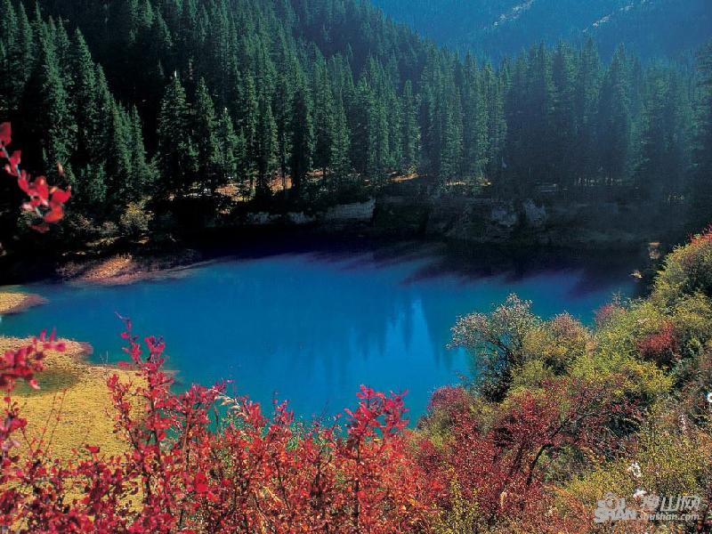 供應(yīng)九寨溝黃龍牟尼溝自助游線路推薦