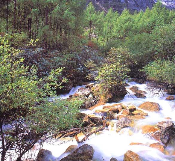 九寨溝黃龍旅游攻略行程安排圖片