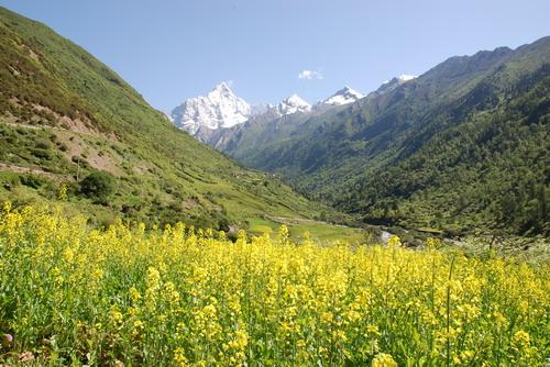 供應金秋扎如寺介紹租車旅游攻略