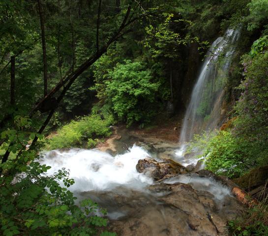 供应78月份九寨沟包车旅游避暑路线图片