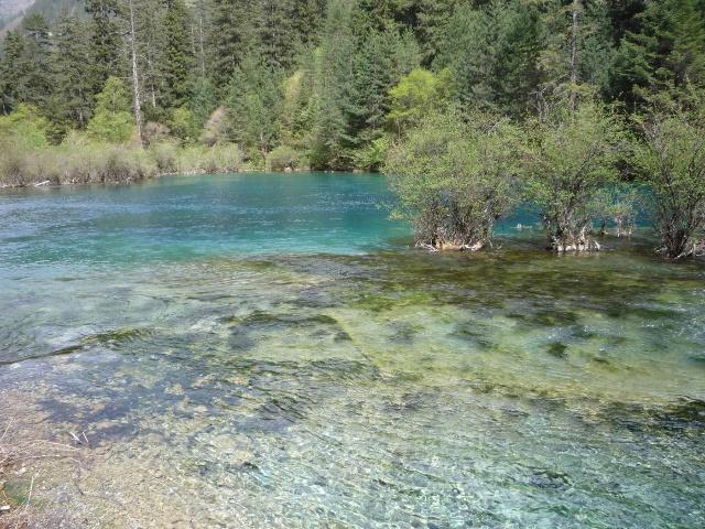 供應(yīng)夏天九寨溝包車旅游黃龍若爾蓋路線