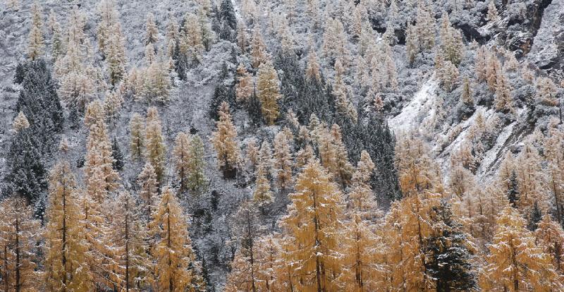 供應(yīng)四姑娘山旅游注意事項