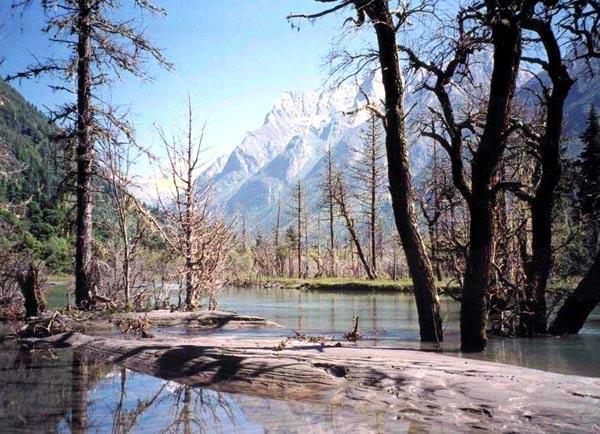 供應(yīng)川西四姑娘阿壩四位美麗善良的姑娘