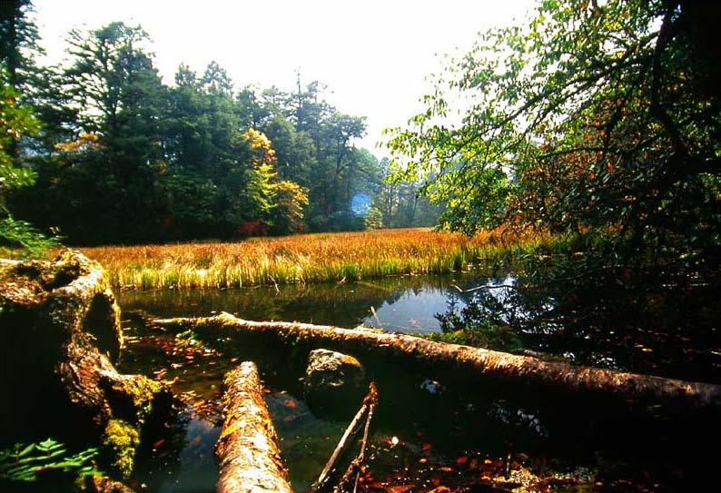 供應(yīng)海螺溝周邊景點