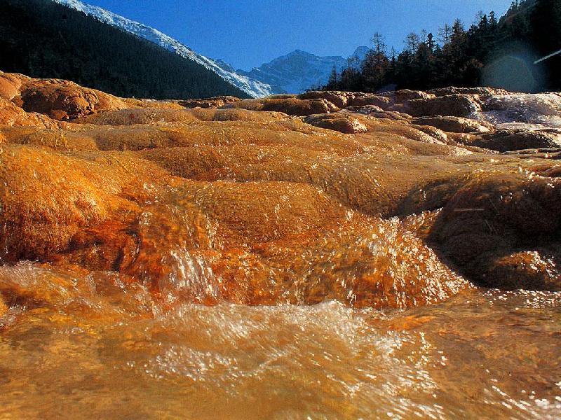 供應九寨溝旅游出租車公司