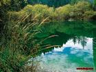 供應(yīng)九寨溝日則溝風(fēng)景介紹