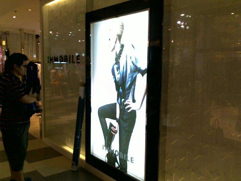 供應(yīng)鄭州易拉寶*價(jià)格