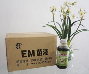 Em菌自制发酵饲料的步骤，农富康EM菌发酵饲料价格？