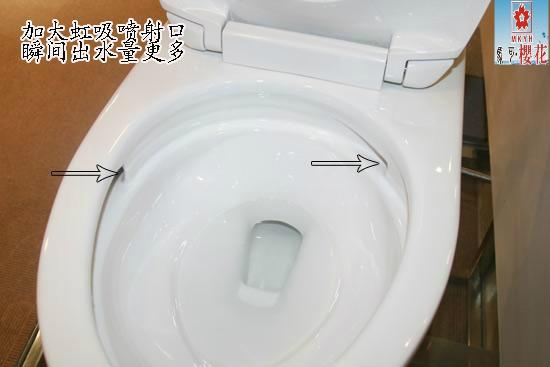 供應坐便器，廣東坐便器生產(chǎn)廠家，坐便器生產(chǎn)廠家 大量出售座便器