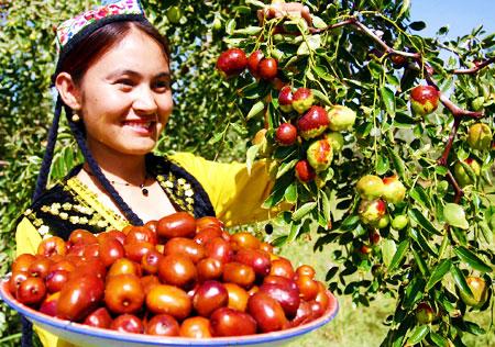 供應(yīng)烏孫鮮新疆哈密棗特惠