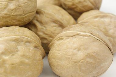 供應(yīng)深圳紙皮核桃零售