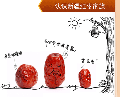 供應(yīng)烏孫鮮新疆哈密棗零售