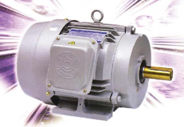 大同F(xiàn)BFC三相鼠籠式馬達(dá)圖片