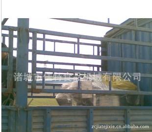 JTGL丸子油炸機圖片