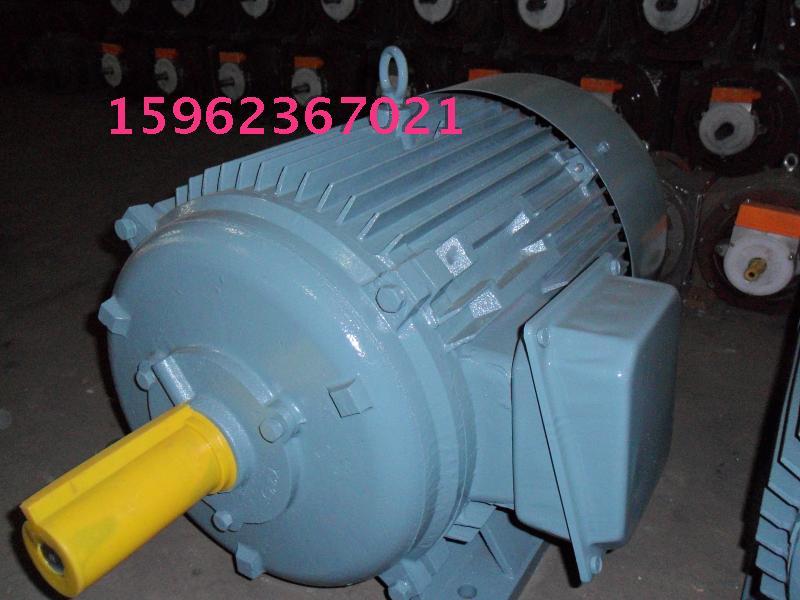 優(yōu)質(zhì)YP2寬頻電機(jī)550W-315KW圖片