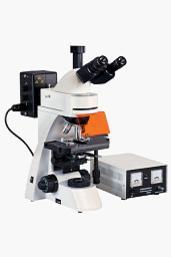 供應(yīng)XDY-2倒置熒光顯微鏡