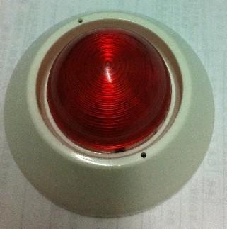 北大青鳥圖片/北大青鳥樣板圖 (4)