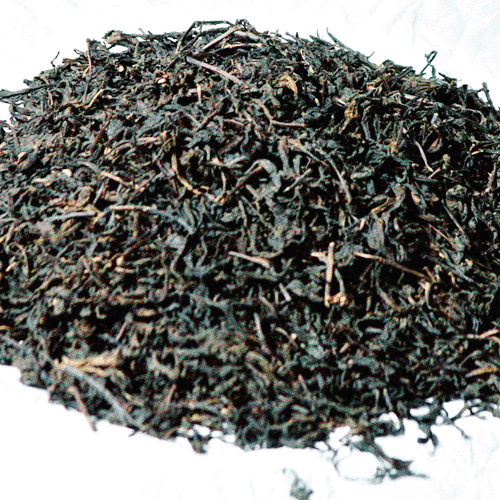 供应安化陈年老茶（2006年老茶），优质安化陈年老茶