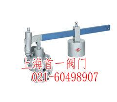 上海脈沖式安全閥圖片